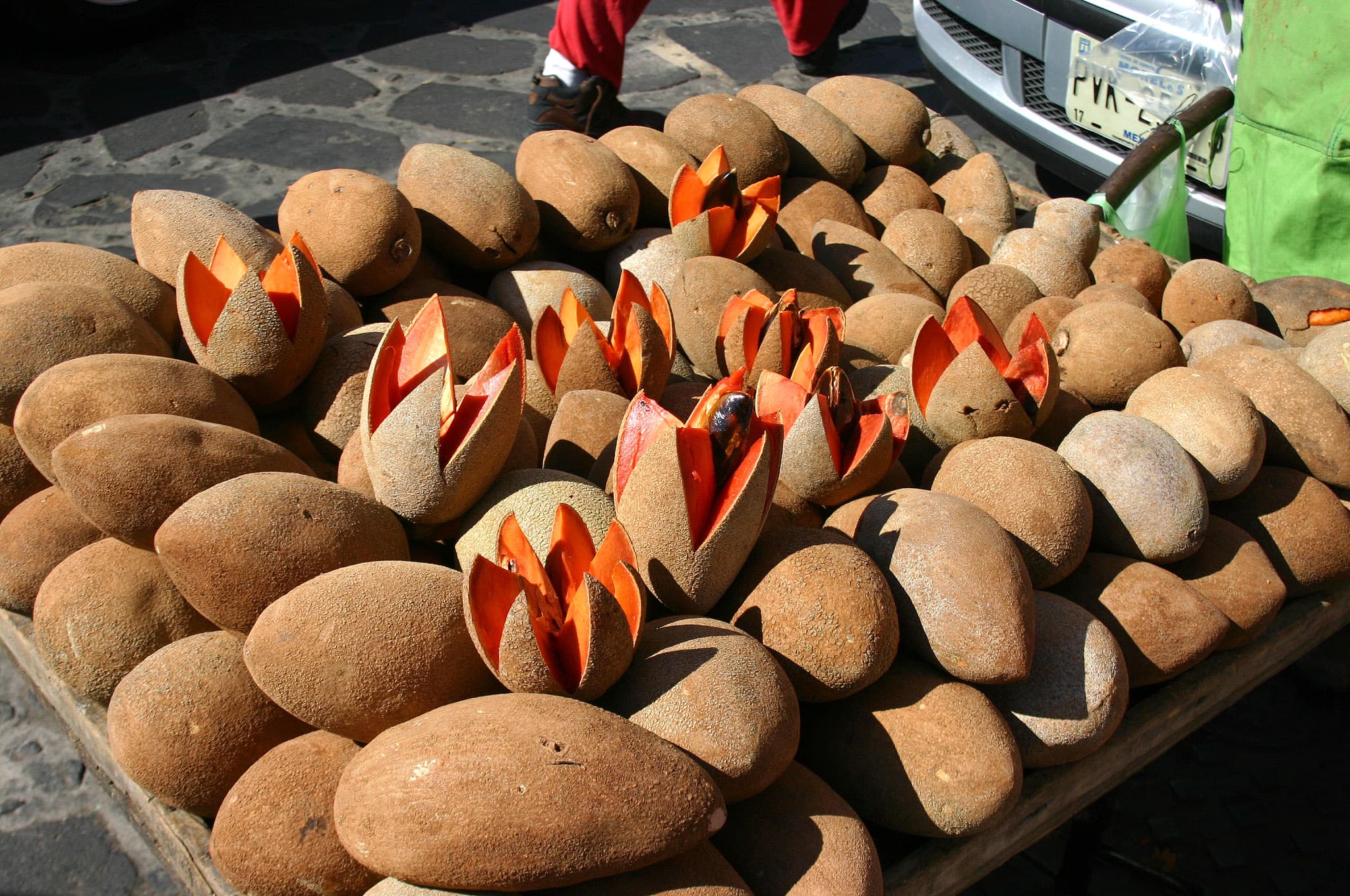 Mamey Sapote