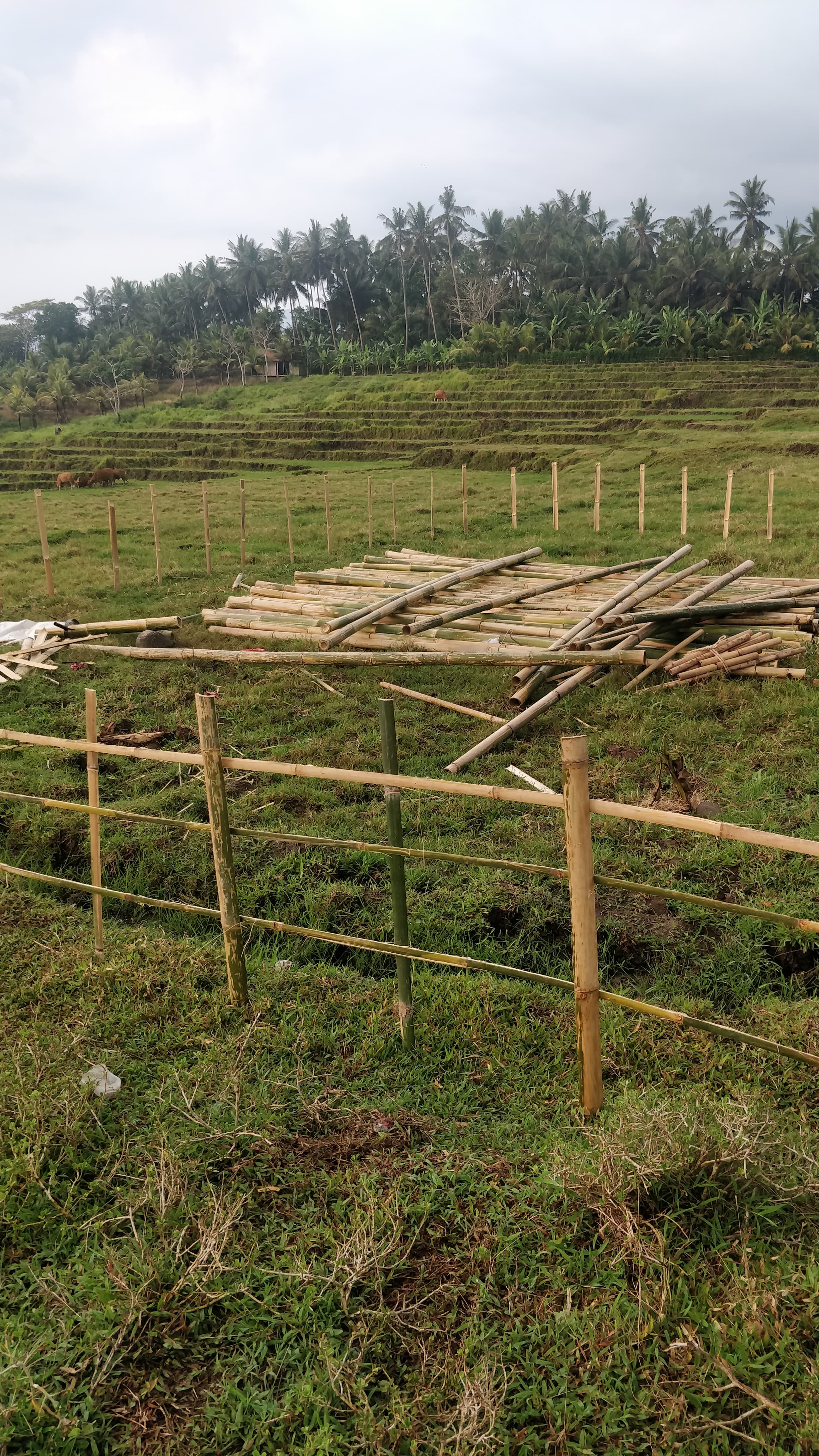 After a few hours…